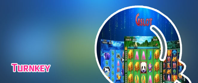 Turnkey online casino website