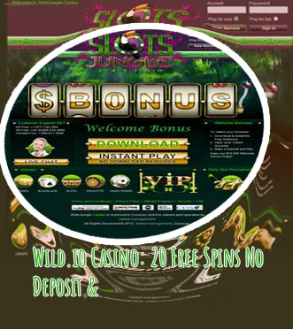 Wild casino new player no deposit bonus codes